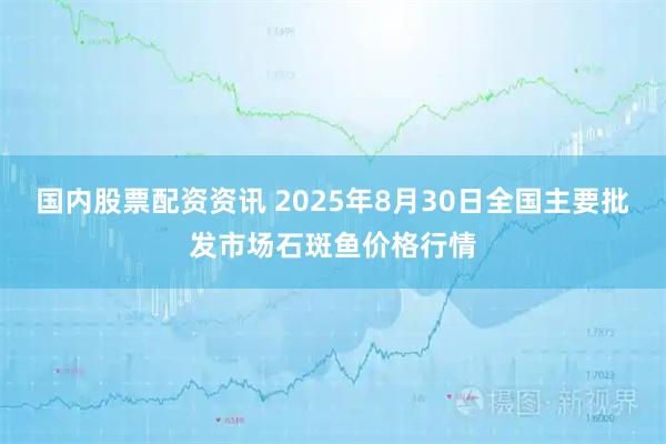 国内股票配资资讯 2025年8月30日全国主要批发市场石斑鱼价格行情