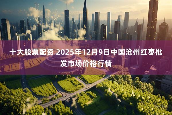 十大股票配资 2025年12月9日中国沧州红枣批发市场价格行情