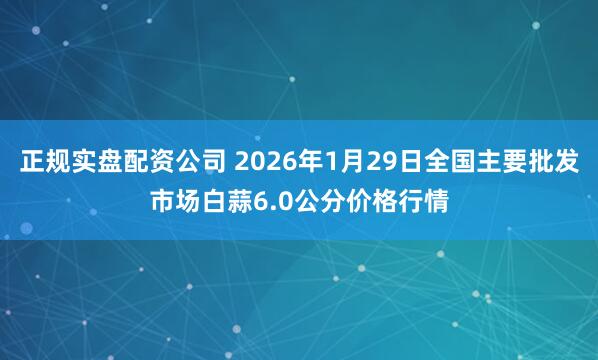 正规实盘配资公司 2026年1月29日全国主要批发市场白蒜6.0公分价格行情