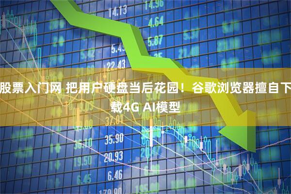 股票入门网 把用户硬盘当后花园！谷歌浏览器擅自下载4G AI模型